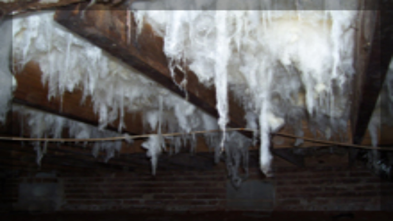 Protect Your Home From Water Damage Using Pipe Leak Repair Ventura CA Experts
